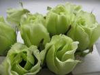 Roosjes 5-6cm. zijde best quality lightgreen lichtgroen 10, Huis en Inrichting, Ophalen of Verzenden, Nieuw