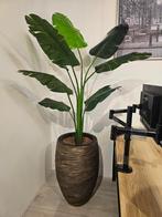 Strelitzia kunstplant, H210cm, Huis en Inrichting, Kamerplanten, Ophalen of Verzenden