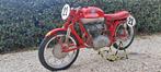MV Agusta - CSS - Disco Volante - 175 cc - 1955