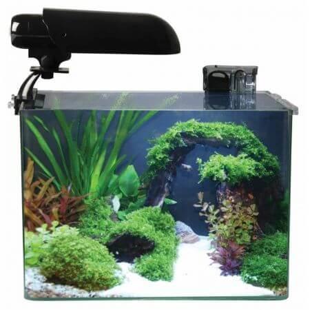 Aquatic Nature Aquarium COCOON 6 (31,2 L) 40x26x30H, Dieren en Toebehoren, Vissen | Aquaria en Toebehoren, Ophalen of Verzenden