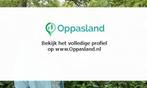 Ik ben Marina, 27 jaar oud en ik zoek oppaswerk in Enschede.