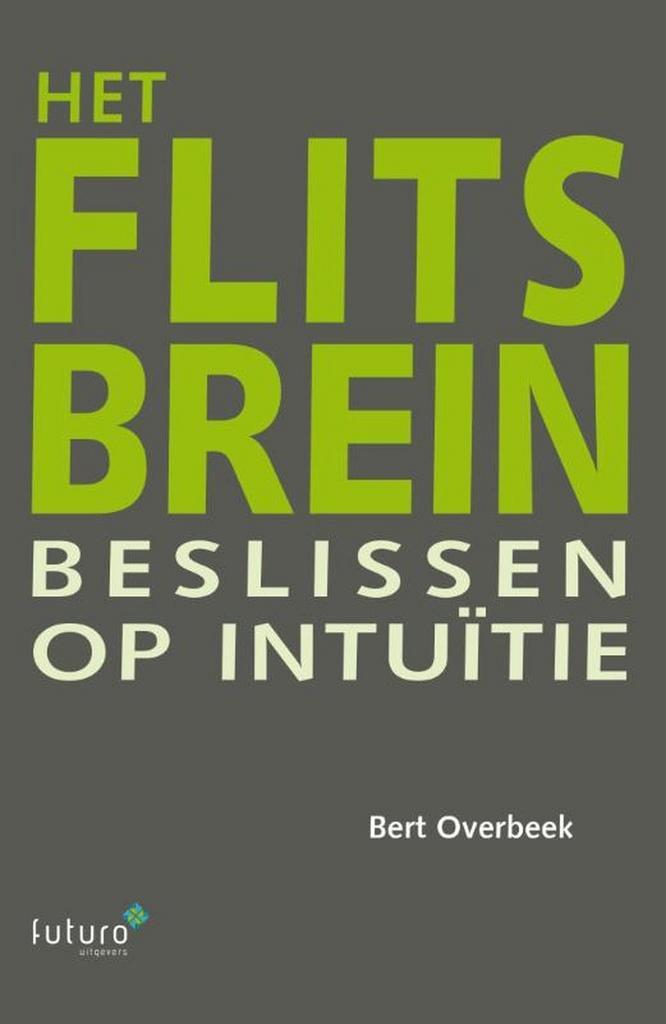 Het flitsbrein 9789492221001 Bert Overbeek, Boeken, Economie, Management en Marketing, Zo goed als nieuw, Verzenden