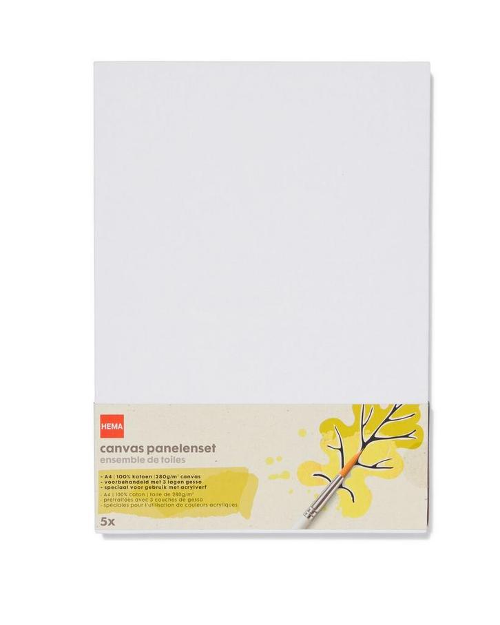 HEMA Canvas panelenset A4 - 5 stuks 2+1 gratis, Hobby en Vrije tijd, Schilderen, Nieuw, Verzenden