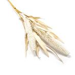 Decoratieve tak | Decoris | 60 cm (Pluim, Binnen), Diversen, Kerst, Verzenden, Nieuw