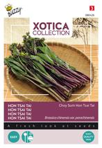 Xotica Purple Choy Sum Hon Tsai Tai - Buzzy, Nieuw, Verzenden