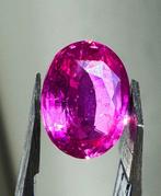 1 pcs Paars Saffier - 1.58 ct - Nederlands Edelsteen, Sieraden, Tassen en Uiterlijk, Edelstenen, Nieuw