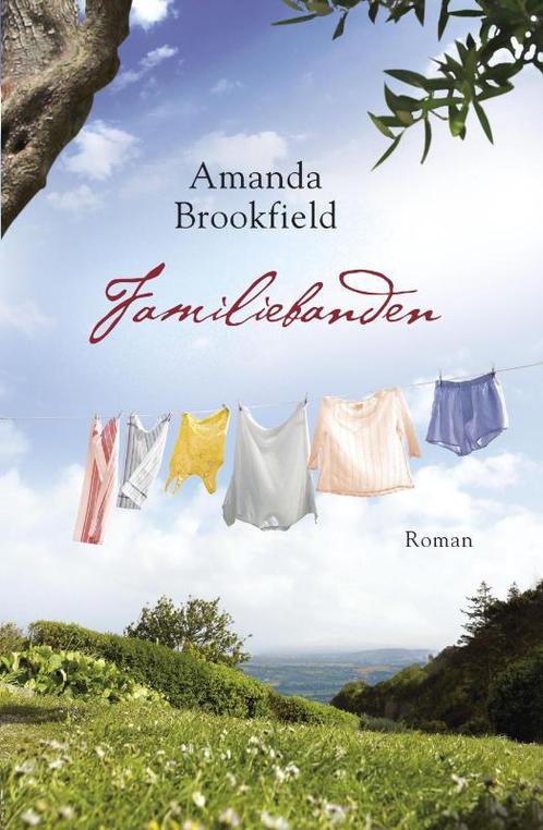Familiebanden 9789047500766 Amanda Brookfield, Boeken, Romans, Gelezen, Verzenden