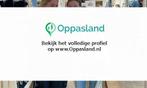 Ik ben Feline Zuidema en ik zoek oppaswerk in Grootegast., Nieuw