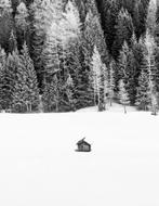 Rosario Civello - Signs #29 - Morning Silence