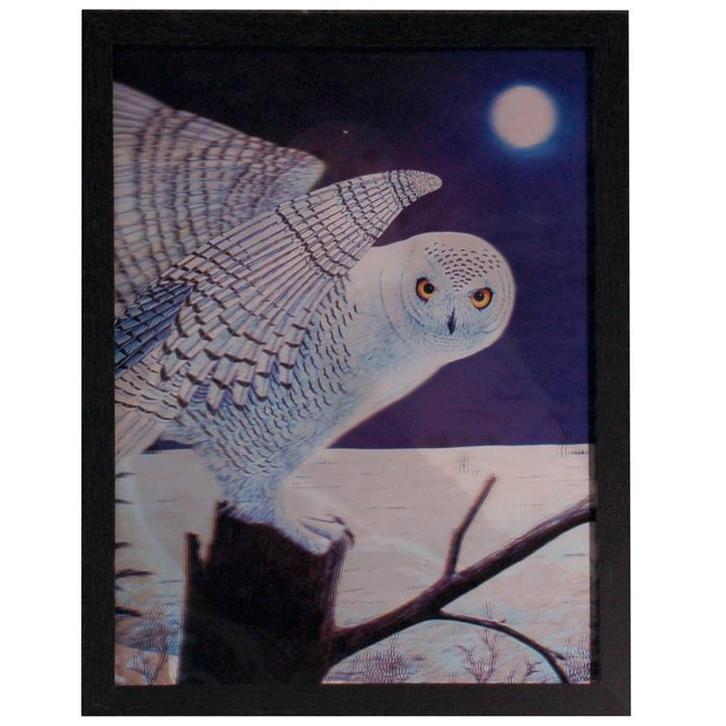 Poster 3D met Lijst - Sneeuwuil Bos & Sneeuw - 3 Afbeeldinge, Huis en Inrichting, Woonaccessoires | Schilderijen, Tekeningen en Foto's