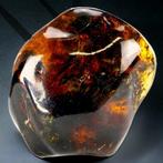 Mexicaanse Amber - Chiapas - Neogeen, Mioceen (23,03 - 5,33, Verzamelen, Mineralen en Fossielen