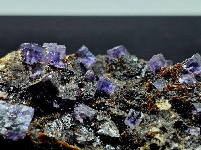 Multizone fluoriet met sphaleriet, Illinois, Verenigde, Verzamelen, Mineralen en Fossielen