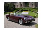 Franco Turcati - Ferrari 250 GT Cabriolet