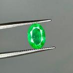 Zonder minimumprijs - 1 pcs Groen Smaragd - 1.01 ct -, Nieuw