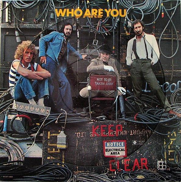 LP gebruikt - The Who - Who Are You (Picture Disc), Cd's en Dvd's, Vinyl | Rock, Zo goed als nieuw, Verzenden