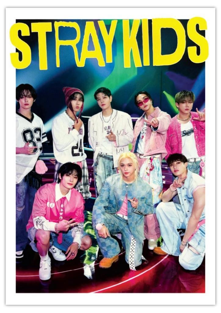 Posters - Poster Stray Kids - Stray Kids, Verzamelen, Muziek, Artiesten en Beroemdheden, Zo goed als nieuw, Verzenden