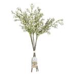 Droogbloemen Gypsophilia Stems 40cm 5st, Verzenden, Nieuw