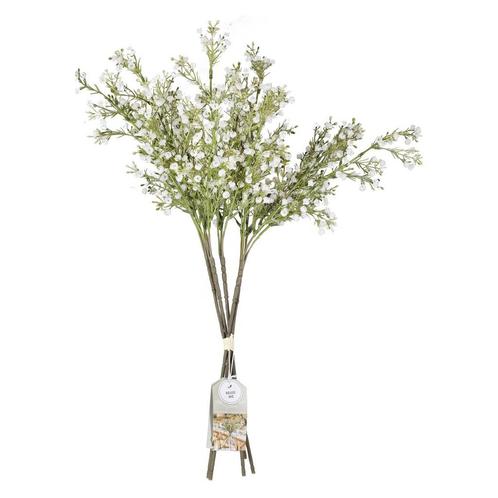 Droogbloemen Gypsophilia Stems 40cm 5st, Hobby en Vrije tijd, Feestartikelen, Nieuw, Verzenden