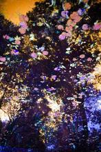 Viet Ha Tran - The breath of autumn III