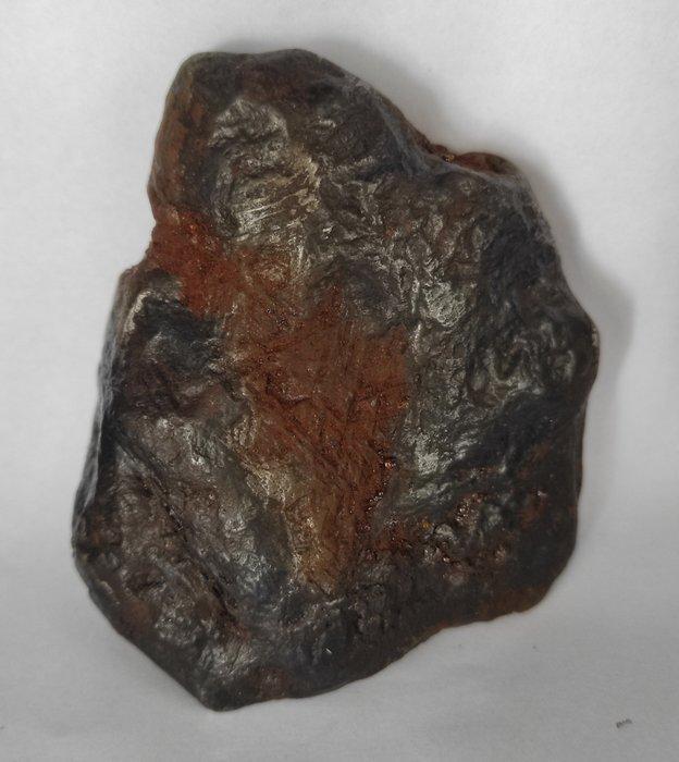 Aletai meteoriet Exemplaar - Hoogte: 3 cm - Breedte: 7 cm -, Verzamelen, Mineralen en Fossielen