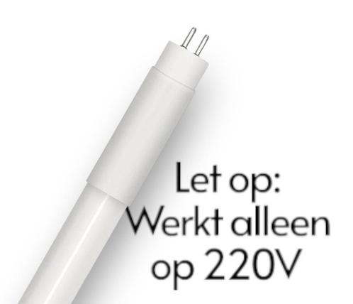 Ledvance LED TL-buis T5 54.9cm 7W/830 | Vervangt T5 14W/8..., Huis en Inrichting, Lampen | Overige, Nieuw, Ophalen of Verzenden