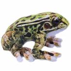 Knuffel Kikker Groen Gevlekt - 24 cm NIEUW, Ophalen of Verzenden, Nieuw