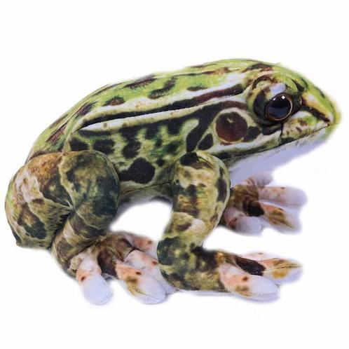 Knuffel Kikker Groen Gevlekt - 24 cm NIEUW, Kinderen en Baby's, Speelgoed | Knuffels en Pluche, Nieuw, Ophalen of Verzenden