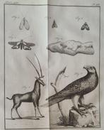 Noel Chomel en Jacques Alexandre de Chalmot - Algemeen