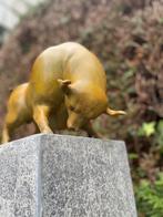 Bronzen stier modern - Tuinsculptuur -38x20x27cm - 6Kg, Tuin en Terras, Tuinbeelden, Verzenden, Nieuw, Metaal, Dierenbeeld