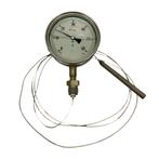 Wika Petrochemische RVS Bimetalen Thermometer, Verzenden, Nieuw