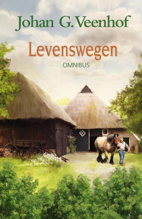 Levenswegen / Citerreeks 9789020527384 Johan G. Veenhof, Boeken, Streekboeken en Streekromans, Zo goed als nieuw, Verzenden