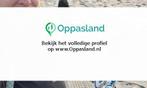 Lotte zoekt een oppas in De Bilt voor 2 kinderen op dinsdag.