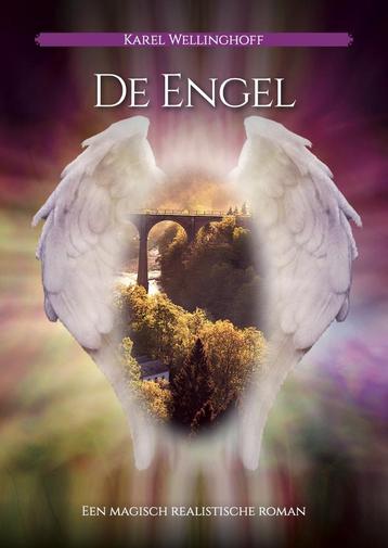 De Engel (9789493071339, Karel Wellinghoff) beschikbaar voor biedingen