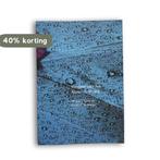 Vleugels voor het Aquariustijdperk 9789493102422, Verzenden, Zo goed als nieuw, Michal J. Eastcott & Nancy E.A. Magor