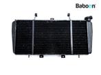 Radiateur Triumph Sprint ST 955 / T 596 2002-2004 (T596, Verzenden, Gebruikt