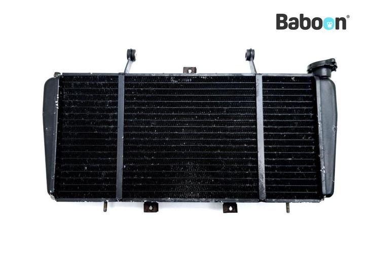 Radiateur Triumph Sprint ST 955 / T 596 2002-2004 (T596, Motoren, Onderdelen | Overige, Gebruikt, Verzenden