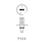 ProPlus Autolamp - 12V - 55W - P14.5S - H1 - blisterverpa..., Ophalen of Verzenden, Nieuw