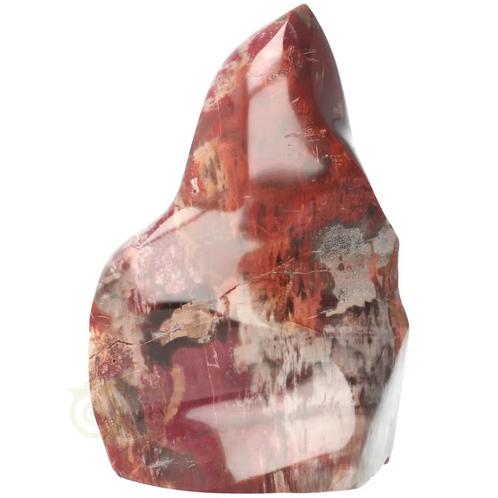 Versteend hout vlam sculptuur nr 38 - 1.3 kg, Sieraden, Tassen en Uiterlijk, Edelstenen, Nieuw, Verzenden