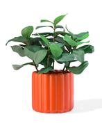 HEMA Bloempot 14x12x13cm keramiek ribbel oranje, Verzenden
