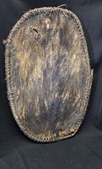 Wild Pig Skin Shield - Papua