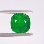 1 pcs Groen Tsavoriet - 6.05 ct - Gem research Swiss Lab, Nieuw