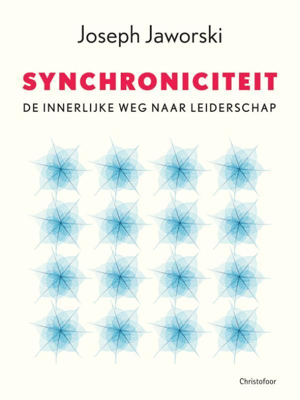 Synchroniciteit 9789060384626 J. Jaworski, Boeken, Economie, Management en Marketing, Zo goed als nieuw, Verzenden
