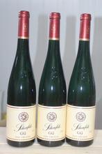 2022 Van Volxem, Schonfels Riesling GG - Moezel Grosses, Nieuw