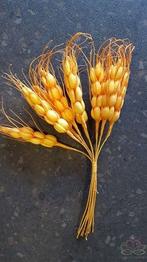 Gerst Foam Oranjegeel bundel ca. 10, Ophalen of Verzenden, Nieuw