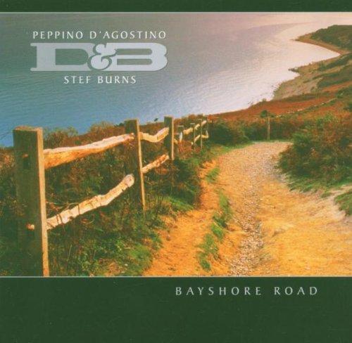 cd - Peppino DAgostino - Bayshore Road, Cd's en Dvd's, Cd's | Overige Cd's, Zo goed als nieuw, Verzenden