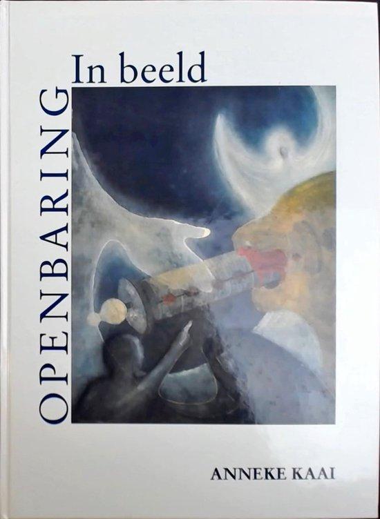 Openbaring in beeld 9789080080928 Kaai, Boeken, Overige Boeken, Zo goed als nieuw, Verzenden