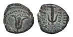 Judea. Antiochus VII Sidetes (138-129 BC). Æ John Hyrcanus I