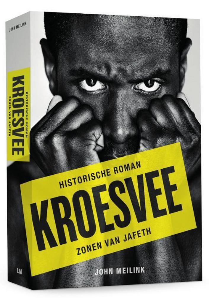Kroesvee 9789460225192 John Meilink, Boeken, Romans, Gelezen, Verzenden