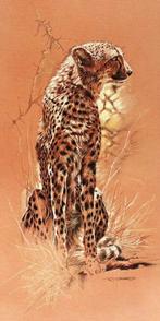 Kunstdruk Renato Casaro - Cheetah 50x100cm, Huis en Inrichting, Verzenden, Nieuw