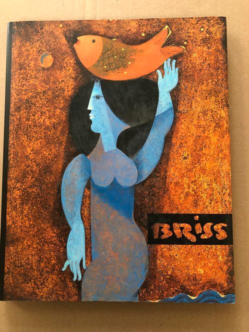 Samy Briss - Monografie Grote Platen van Schilderijen NIEUW, Boeken, Kunst en Cultuur | Beeldend, Zo goed als nieuw, Schilder- en Tekenkunst